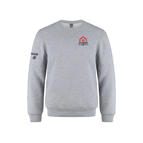 Vault Youth Printed Crewneck Thumbnail